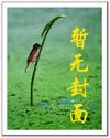 乡村小医师